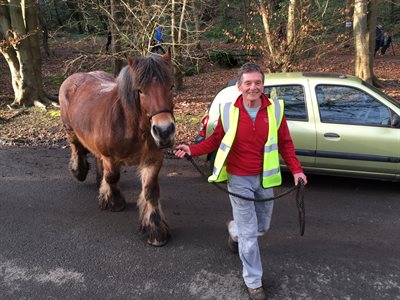 Steve Hunt with Shire horse